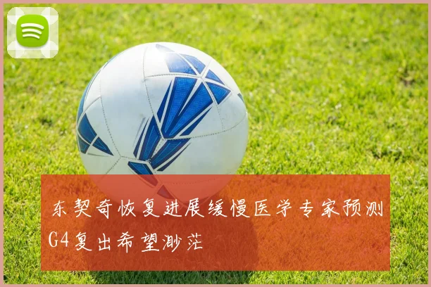 东契奇恢复进展缓慢医学专家预测G4复出希望渺茫