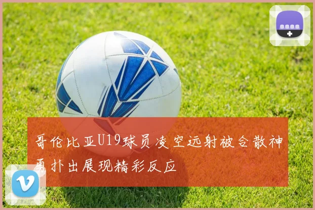 哥伦比亚U19球员凌空远射被合散神勇扑出展现精彩反应